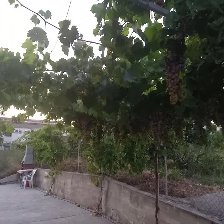 Goga Apartament